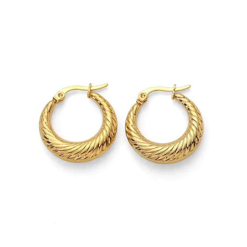 Gold Hoop Luxury Earrings