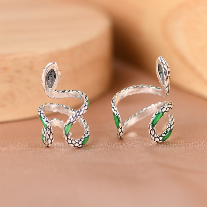 Distinctive Earrings
