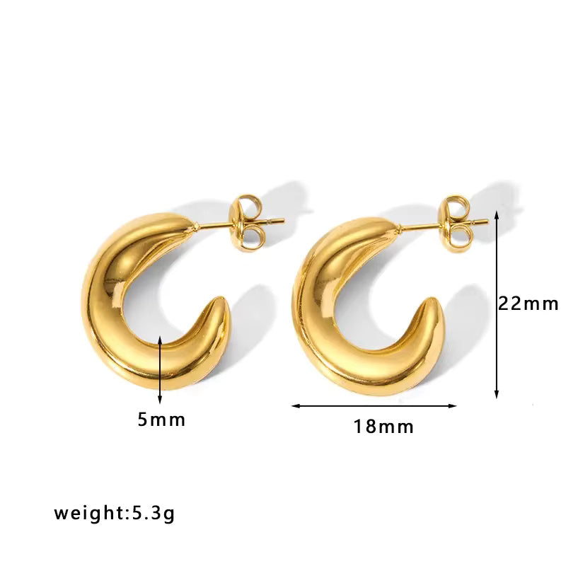 Gold Hoop Luxury Earrings