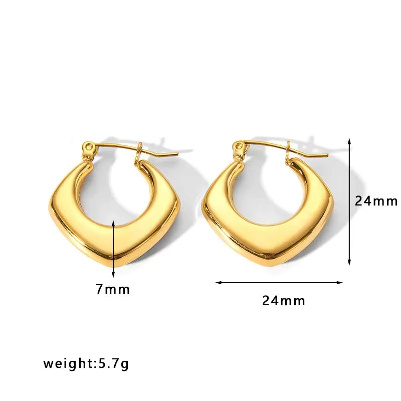 Gold Hoop Luxury Earrings