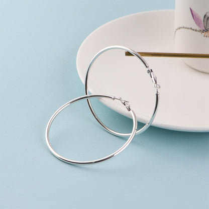 Large Hoop Earrings
