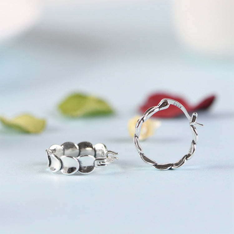 Fish Scale Earrings