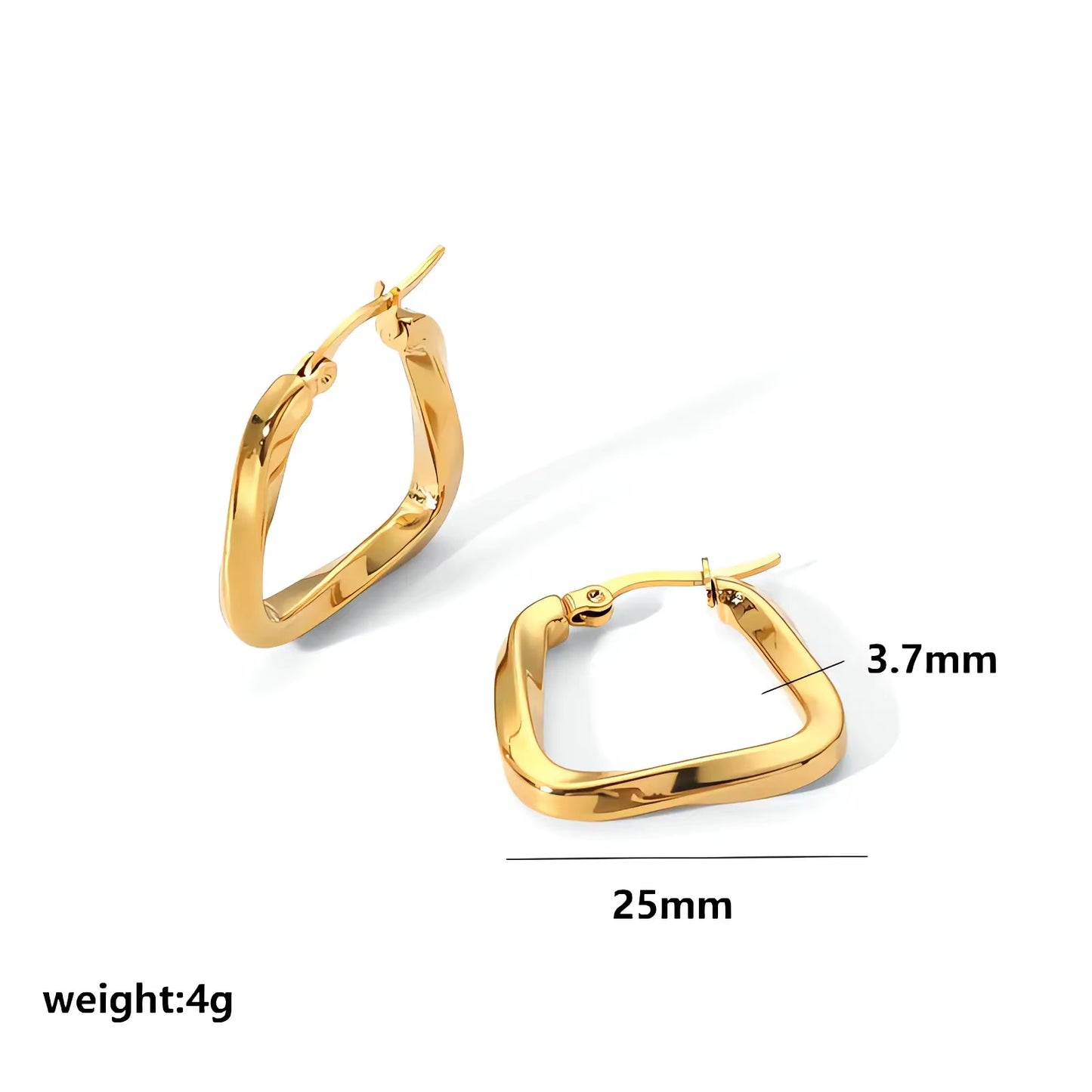 Gold Hoop Luxury Earrings