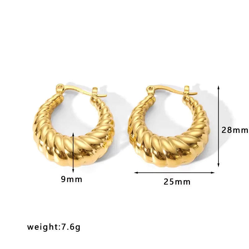 Gold Hoop Luxury Earrings