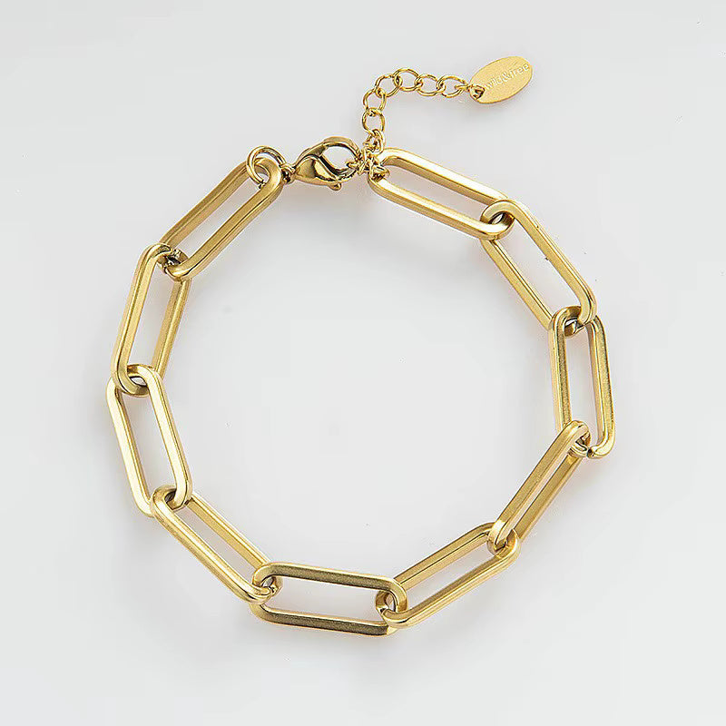 Braided Thick Chain Flat Snake Bone Bracelet